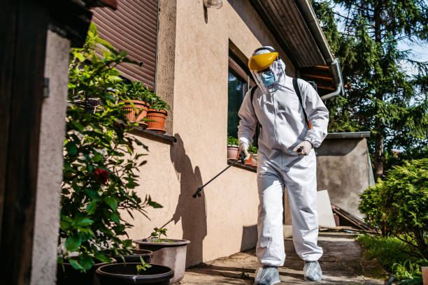 Best Best Pest Control Companies  in Magnolia, MS
