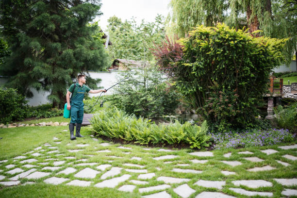 Best Commercial Pest Control Services  in Magnolia, MS