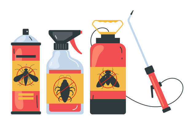 Wasp Removal Services in Magnolia, MS
